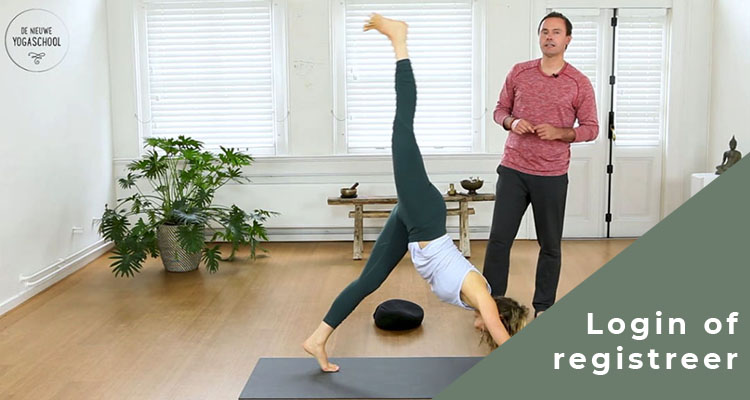 Vinyasa yoga - Johan Noorloos
