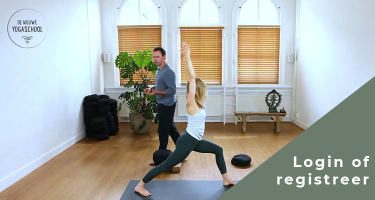 Yin Yang Yoga - Johan Noorloos